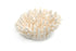 Premium Decor Finger Coral - Acropora Finger